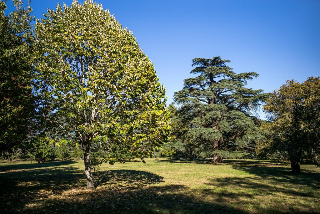 Best Western Premier Le Domaine De Montjoie Ramonville-Saint-Agne Dış mekan fotoğraf